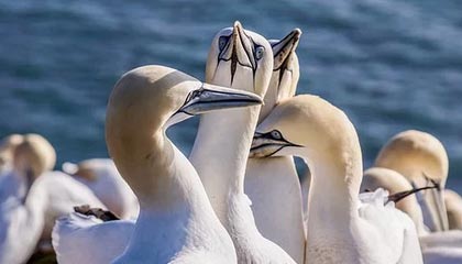 亚博体育平台：引领体育娱乐新体验