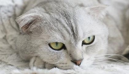 亚博体育平台：引领体育娱乐新体验